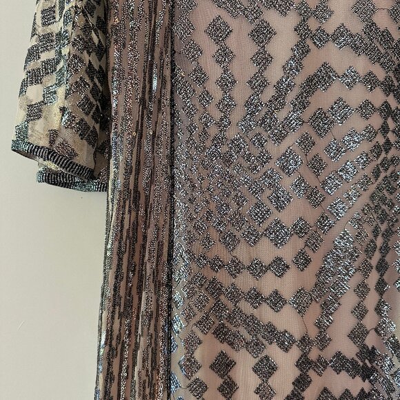 Anna Sui Free People Silver Maxi Dress - Picture 4 of 5